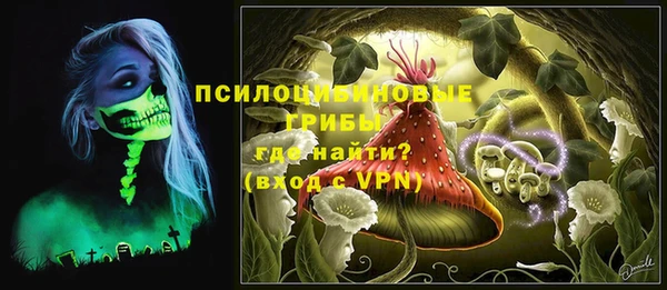 гидропоника Пересвет