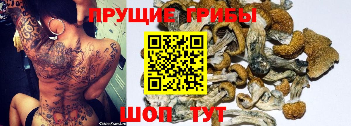 Костомукша  Кокаин  Вход с VPN  Меф МЯУ МЯУ кристаллы  MDMA  ГАШИШ  Героин  Канабис 